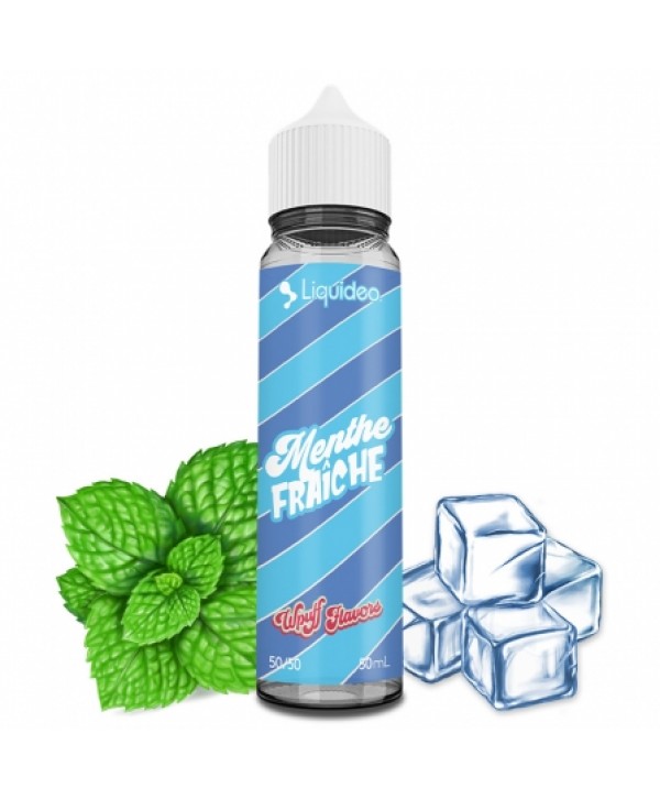 E liquide Menthe Fraîche Wpuff Flavors 50ml