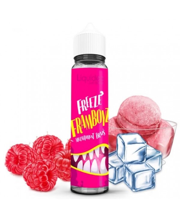 Soldes E liquide Framboyz Freeze Liquideo 50ml