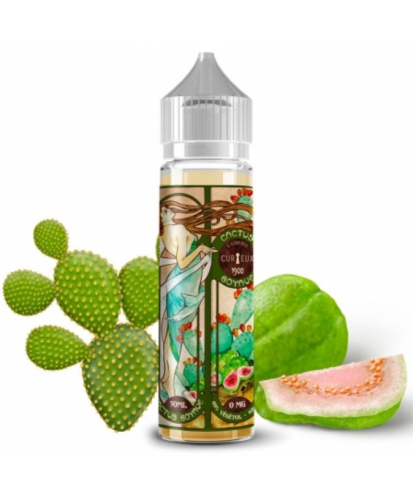 E liquide Cactus Goyave 1900 Curieux 50ml