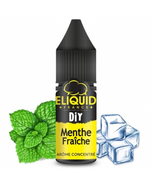 Concentré Menthe Fraîche eLiquid France Arome DIY