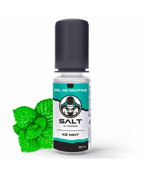 Soldes E liquide Ice Mint Salt E-Vapor | Sel de Nicotine
