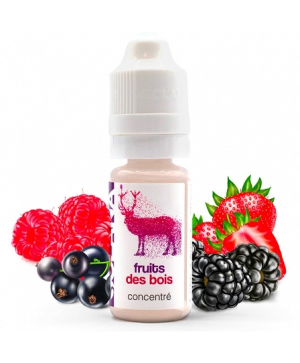 Concentré Fruits des bois Solana Arome DIY