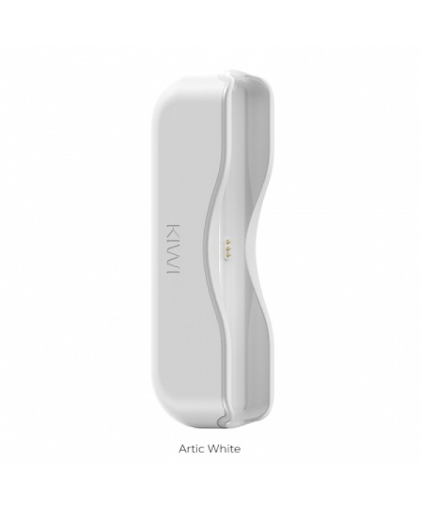 Soldes Power Bank Kiwi Vapor